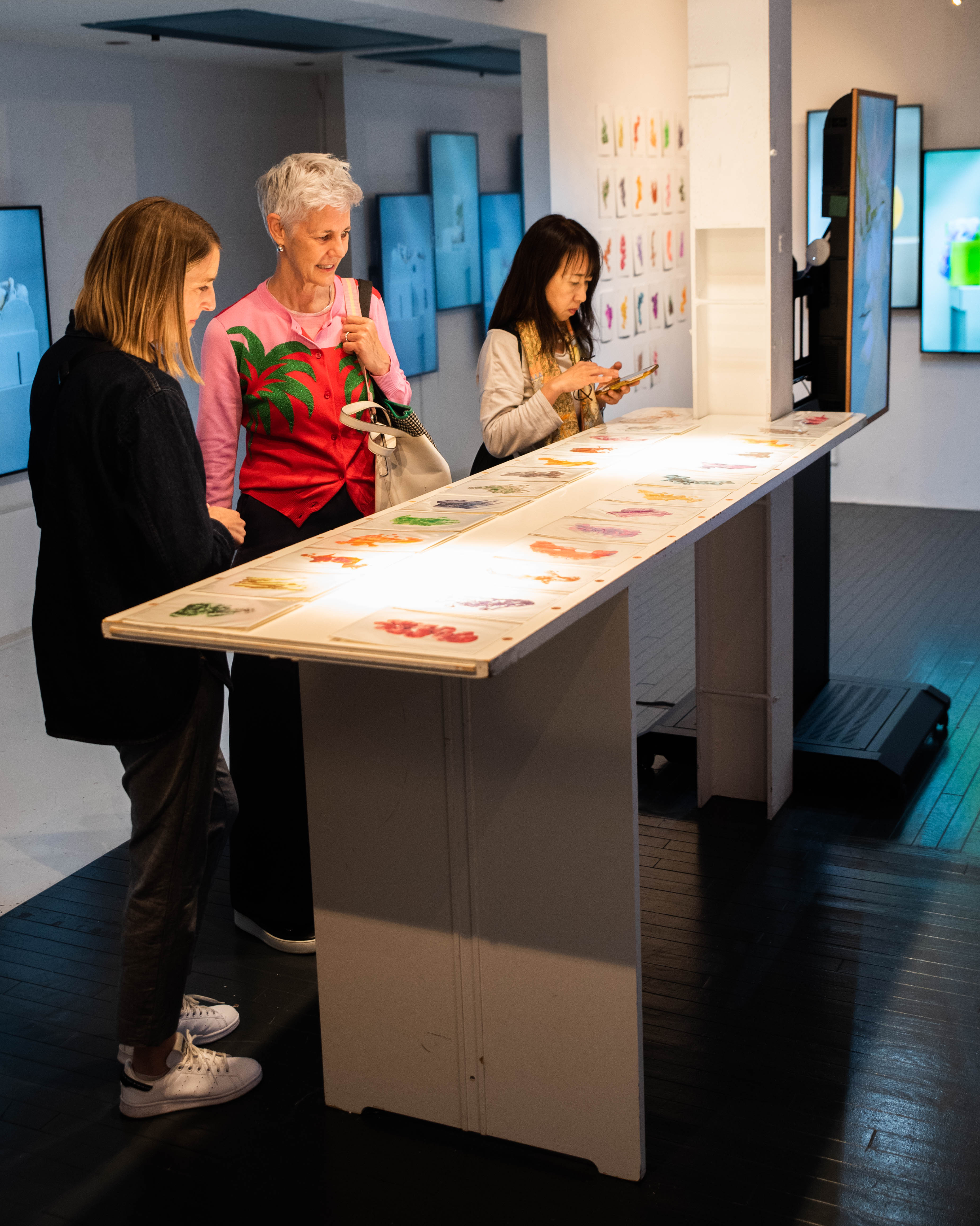 Visitors experiencing curated exhibition