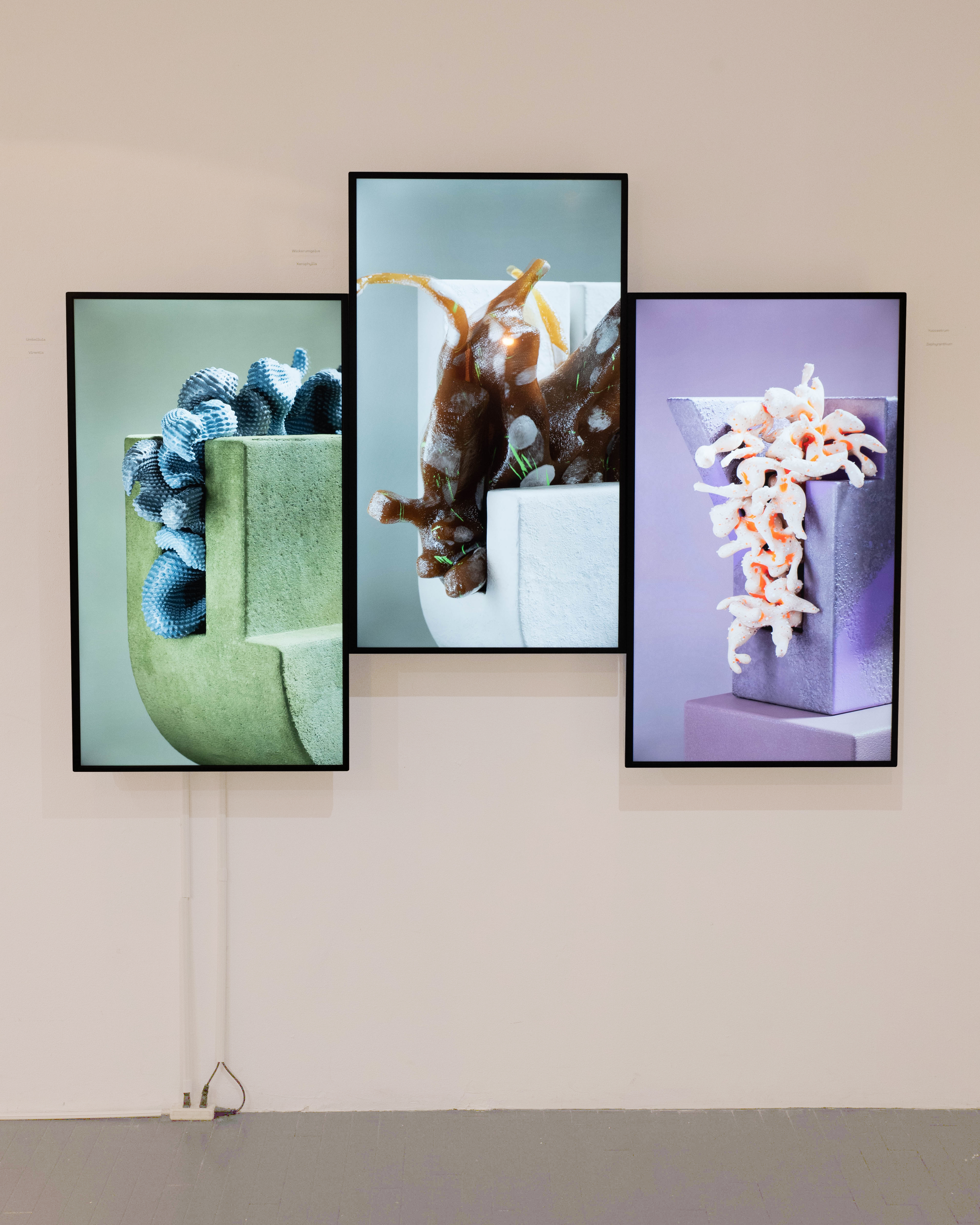 Gallery installation